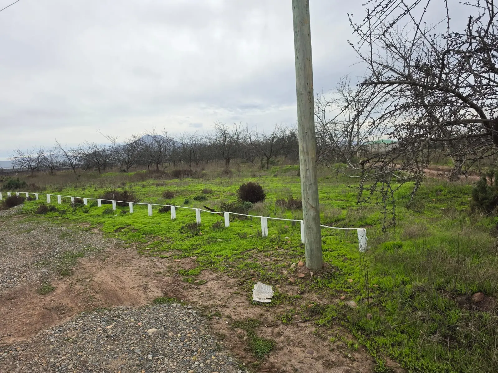 Almendral de Tabalí