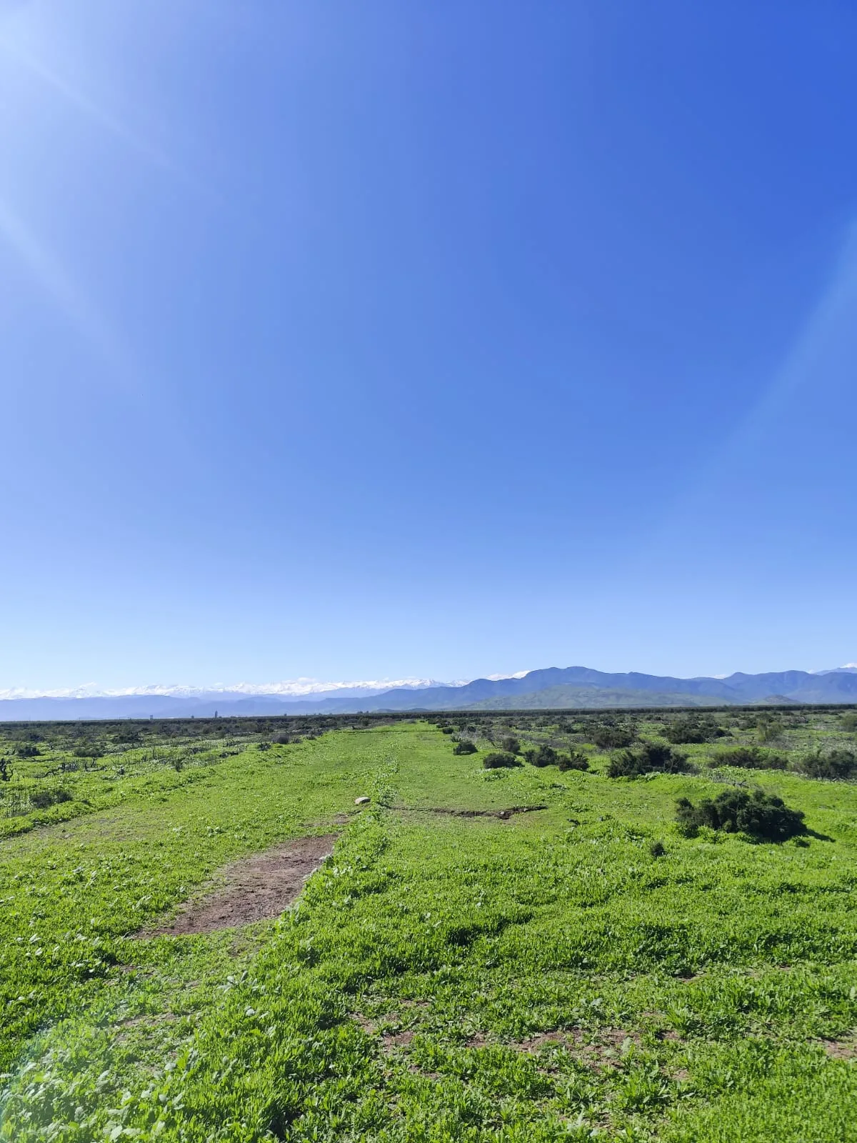 Llanos de Tavalí-Ovalle