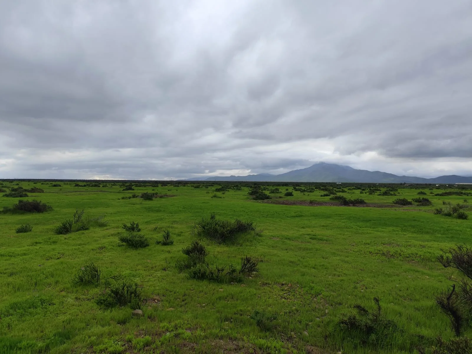 Llanos de Tavalí-Ovalle